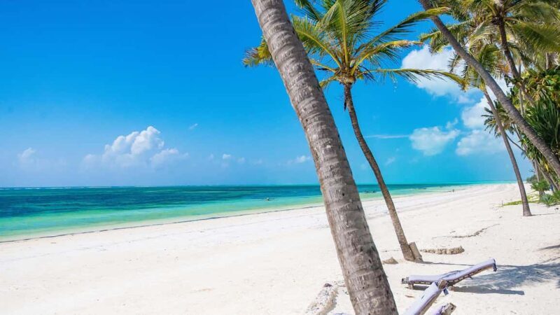 7-Day Serengeti Safari and Zanzibar Beach Tour - The Value of the Experience