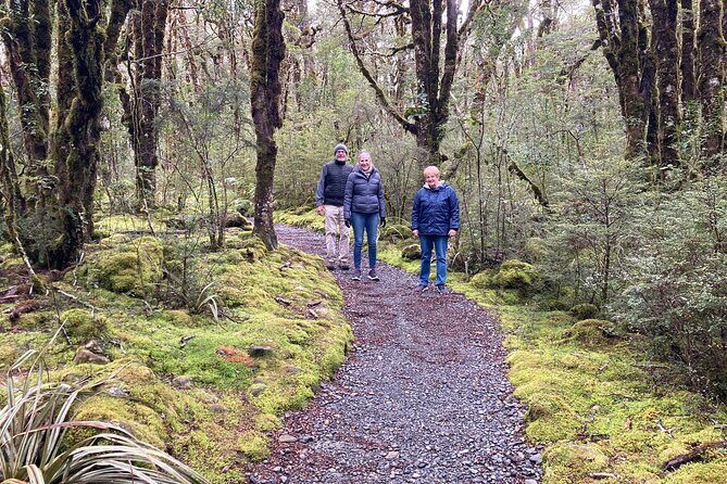 7-Day South Island Coastal Splendor Tour from Christchurch - A Thorough Look at the Itinerary