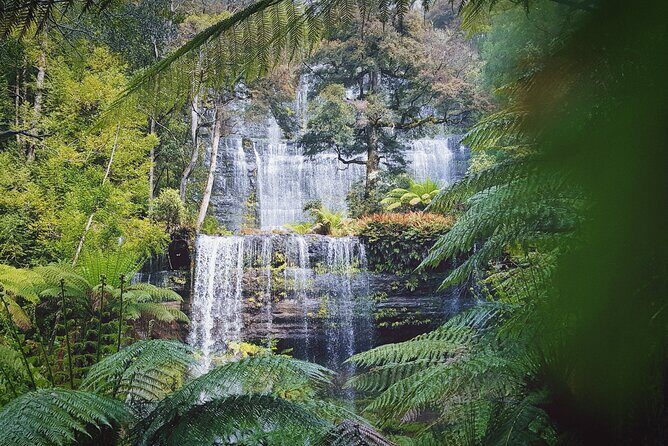 7-Day Super Value Tour of Tasmania: Explore Tasmania's West and East Coasts - An In-depth Look at the 7-Day Itinerary