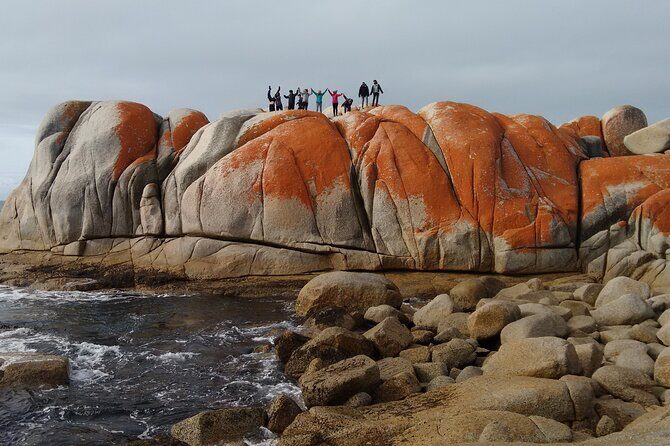 7-Day Super Value Tour of Tasmania: Explore Tasmania's West and East Coasts - Who is This Tour Best Suited For?