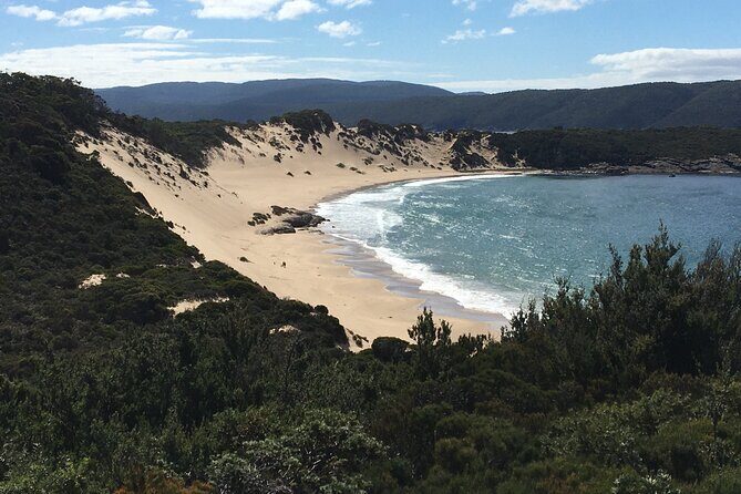 7-Day Super Value Tour of Tasmania: Explore Tasmania's West and East Coasts - Wrapping Up