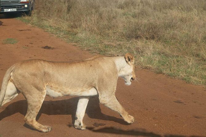 7 Day Tanzania visiting Arusha, Lake Manyara, Serengeti, Ngorongoro & Tarangire - Final Thoughts