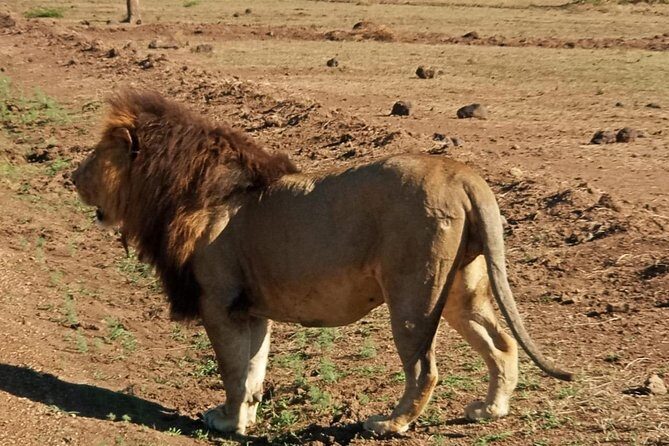 7 Day Tanzania visiting Arusha, Lake Manyara, Serengeti, Ngorongoro & Tarangire - FAQs