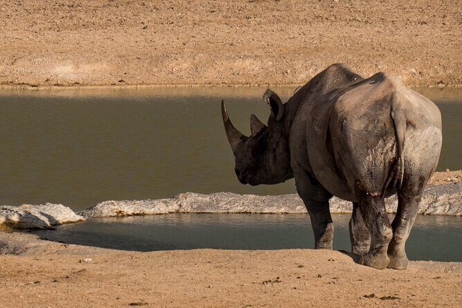 7 Day Taste of Namibia Lodging Safari - FAQ