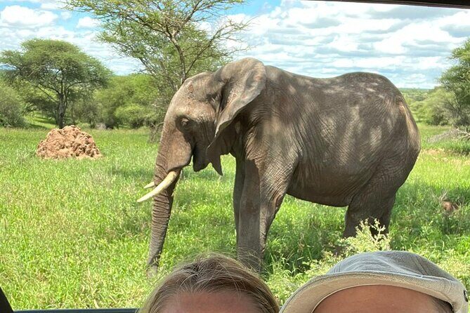 7 Day The Great Savannah Luxury Safari All Inclusive - What’s Included and What’s Not