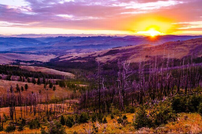 7-Day Tour in Yellowstone and Las Vegas From Salt Lake City - Wrapping Up