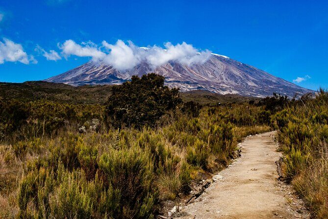 7 Day Tour Machame Route - Key Points