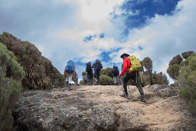 7 Day Trek To The Roof Of Africa Kilimanjaro via Machame Route - How the Tour Balances Challenge and Comfort