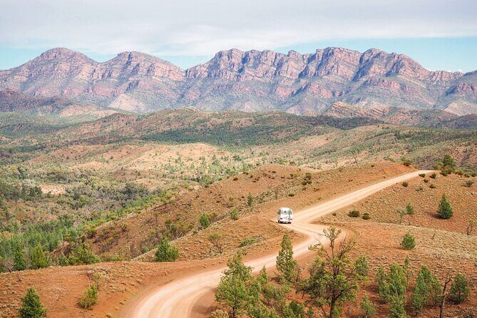 7 Day Uluru to Adelaide Cultural and Adventure Tour - An In-Depth Look at the Itinerary
