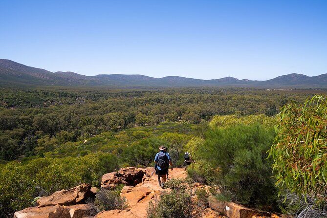 7 Day Uluru to Adelaide Cultural and Adventure Tour - Who Will Love This Tour?
