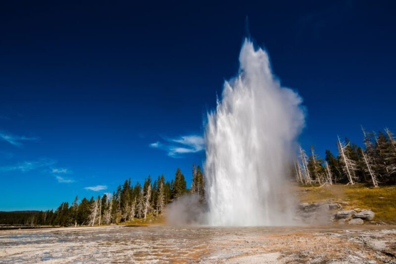 7-Day Yellowstone National Park Rocky Mountain Explorer - Introduction