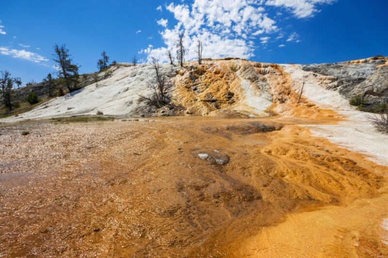 7-Day Yellowstone National Park Rocky Mountain Explorer - Day 6: Rocky Mountains and Final Exploration