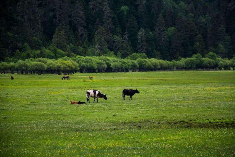 7-Day Yunnan Culture & Nature Tour - Key Points