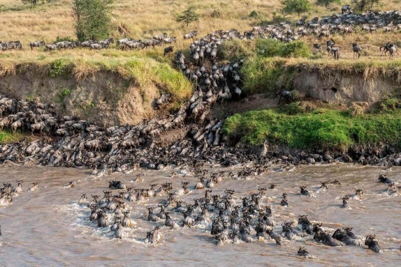 7 Days 6 Nights Kenya Classic Magical Safari Itinerary - 7 Days 6 Nights Kenya Classic Magical Safari Itinerary