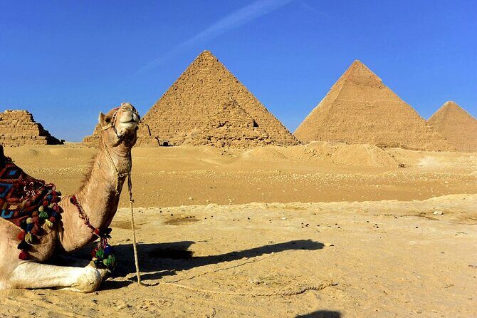 7 Days Adventure in Egypt: CAIRO, LUXOR, and ASWAN with tours - FAQ