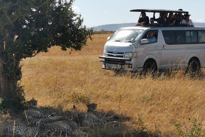 7 Days Amboseli, Naivasha, Maasai Mara and Lake Nakuru game parks - FAQ