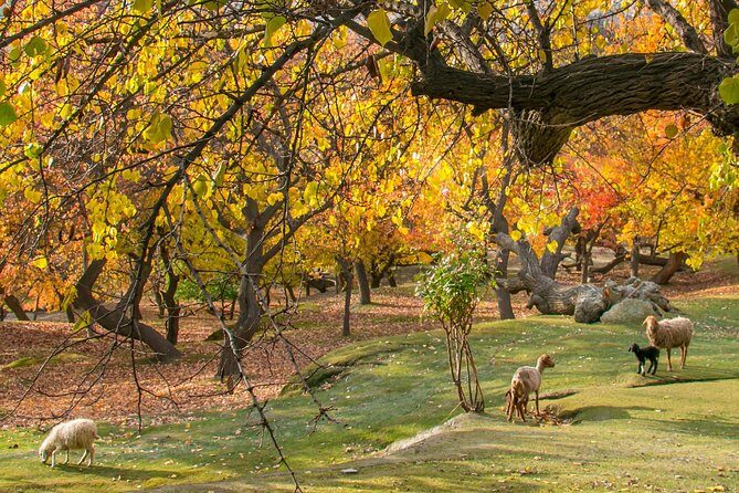 7-Days Autumn Tour to Hunza Valley - Exploring the 7-Day Autumn Tour to Hunza Valley: An Honest Look