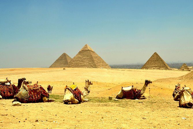 7 Days Best of Egypt Tour from Abu Simbel to Alexandria w/ Private Sightseeing - Who Will Love This Tour?