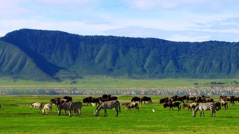 7 Days Big Five Safari to Tarangire, Serengeti & Ngorongoro - The Sum Up