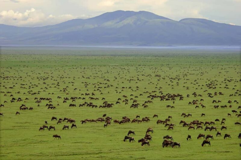 7-Days Budget Camping - Tarangire, Serengeti, Ngorongoro... - An In-Depth Look at the 7-Day Safari Itinerary