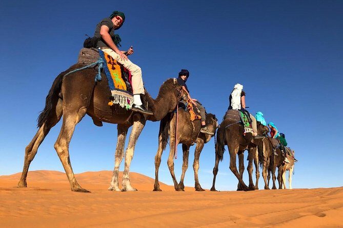 7-days: Casablanca to Chefchaouen then Fes and Sahara Desert - Camel Trekking - Why This Tour Offers Great Value