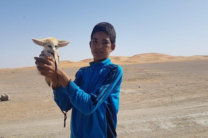 7-days: Casablanca to Chefchaouen then Fes and Sahara Desert - Camel Trekking - Final Thoughts
