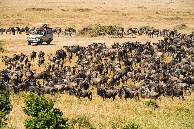 7 Days Cultural and Wildlife Safari - Who Is This Tour Best For?