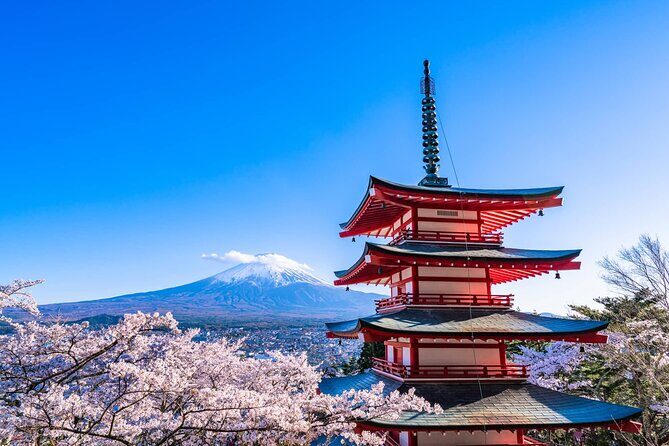 7 Days Customized Tokyo and Kansai Classic Family Tour - Key Points