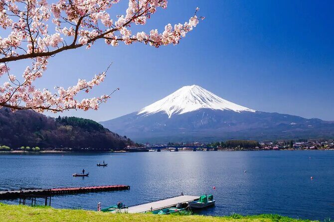 7 Days Customized Tokyo and Kansai Classic Family Tour - An In-Depth Look at the Itinerary