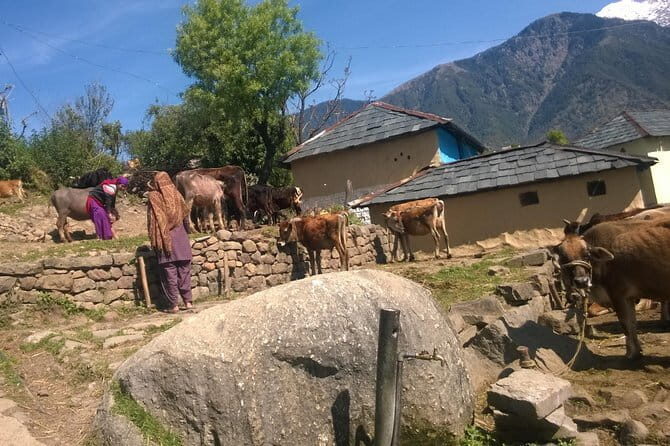 7 Days Dharamsala - Dalai Lama home Trek - An In-Depth Look at the Itinerary