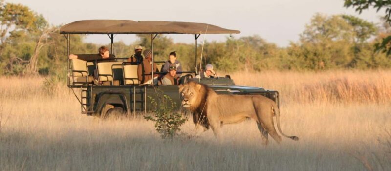 7 Days Durban to Cape Town with game safari and hiking - Key Points