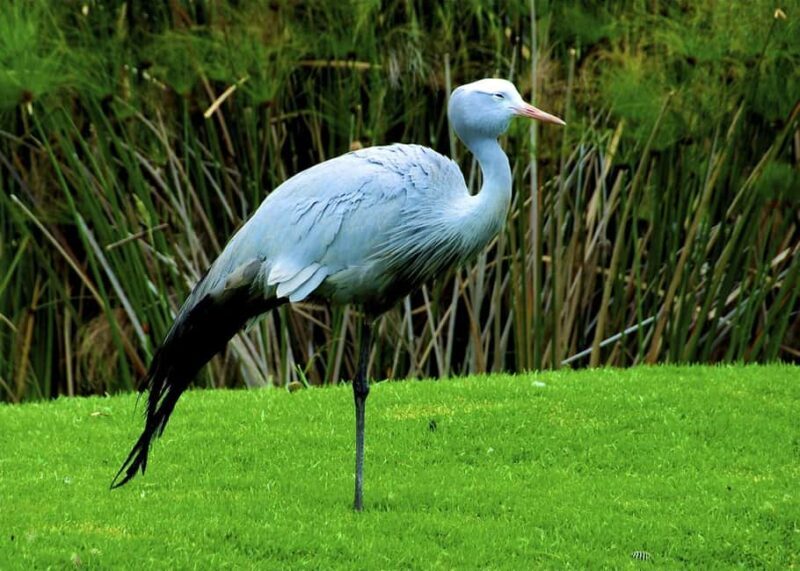 7 Days Durban to Cape Town with game safari and hiking - The Sum Up