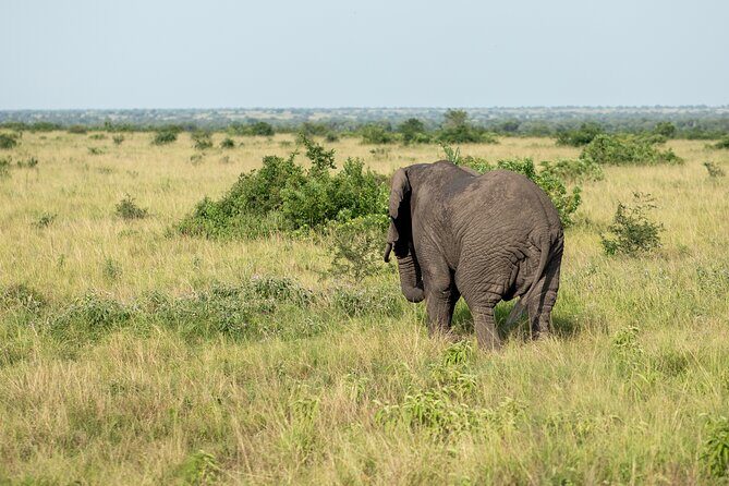7 Days Gorilla and Chimpanzee safari in Uganda - Final Verdict