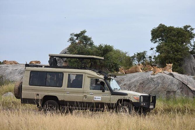 7 Days: Great Migration Mara River Crossing(manyara, Ngorongoro And Serengeti) - FAQ