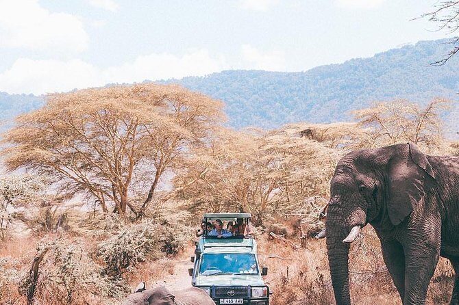 7 days great migration safari - About the Price and Value