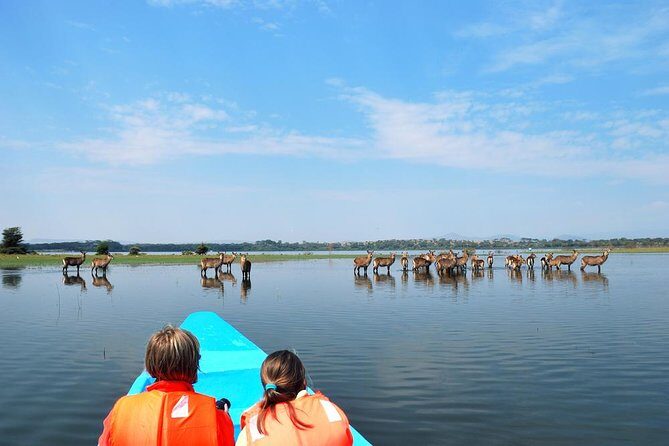 7 days Group Safari Masai Mara Lake Nakuru Hells gate & Amboseli - Final Thoughts