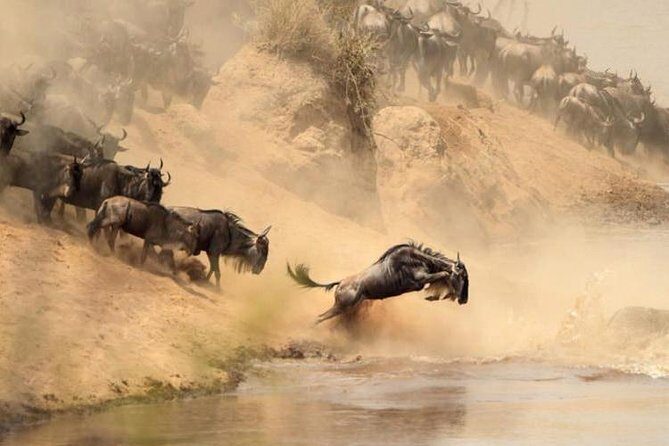 7 days Group Safari Masai Mara Lake Nakuru Hells gate & Amboseli - FAQ