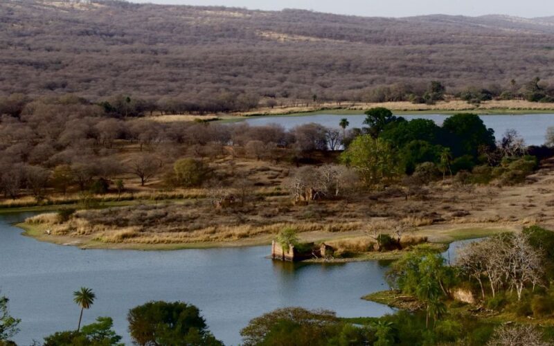 7 days india Taj Mahal tour with ranthambore tiger safari - Breaking Down the Itinerary: What You’ll See and Experience