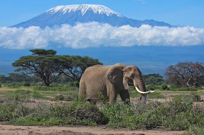 7 Days Into the Wild Wonder : Lodge Safari with Private 4x4 JEEP - Key Points