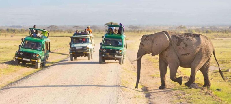 7 Days Kenya Wildlife Safari and Diani Beach Safari - Exploring the Kenyan Wilderness