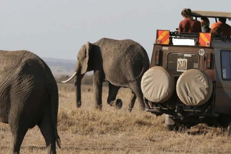 7 Days Kenya Wildlife Safari and Diani Beach SGR Package - The Sum Up