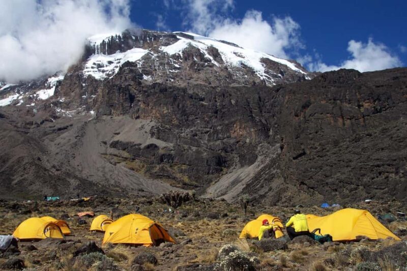 7 Days Kilimanjaro Climb via Lemosho Route - Key Points