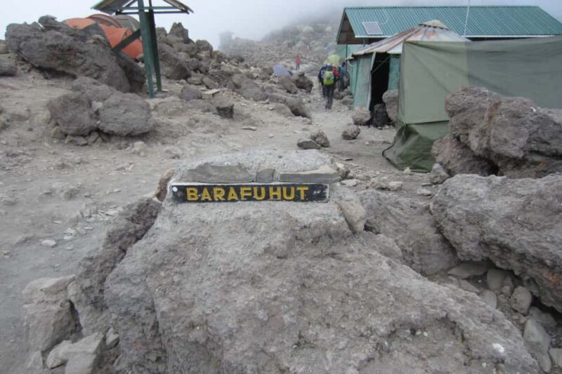 7 Days Kilimanjaro Climb via Lemosho Route - The Experience: A Deep Dive into the 7-Day Lemosho Route