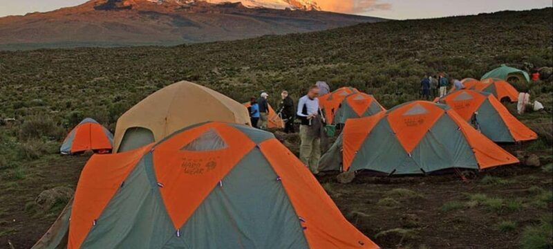 7 Days Kilimanjaro Climb via Lemosho Route - The Sum Up: Who Should Consider This Trek?