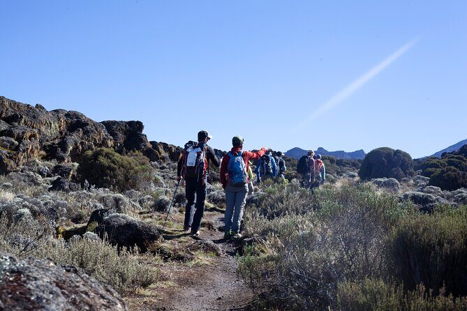 7 Days Kilimanjaro Climbing | Hiking Tour via the Lemosho Route - The Sum Up