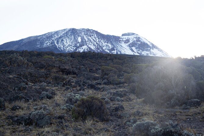 7 Days Kilimanjaro Climbing | Hiking Tour via the Lemosho Route - FAQ
