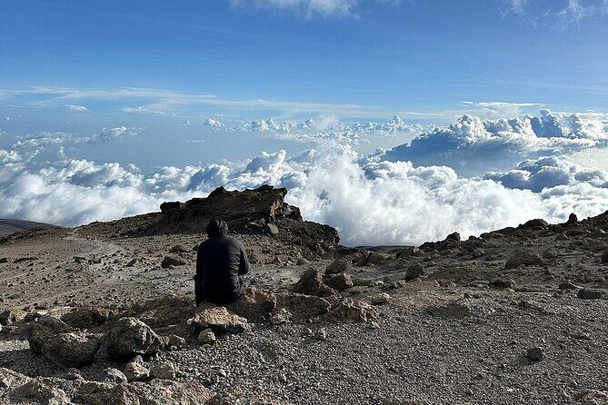 7 Days Kilimanjaro Trekking Machame Route - The Environment and Scenery