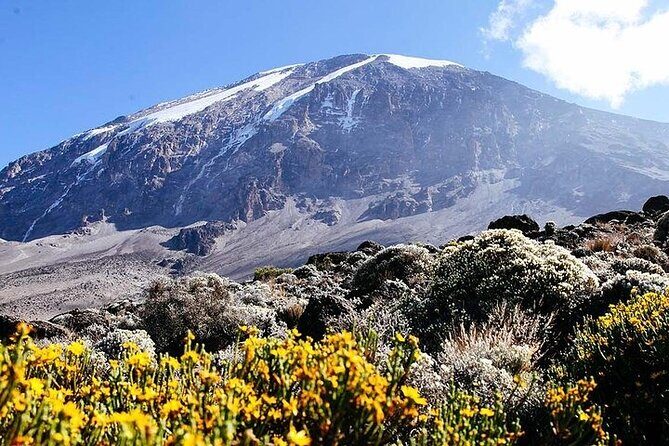 7 Days Kilimanjaro Trekking Machame Route - FAQ