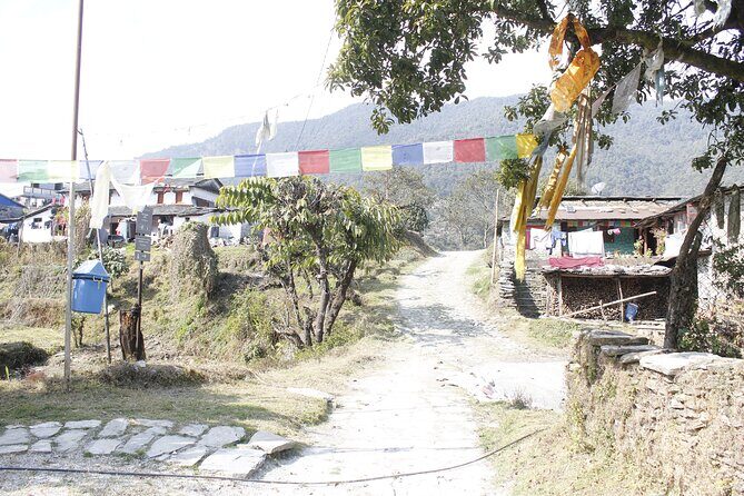 7 Days Langtang Valley Trek from Kathmandu - The Sum Up