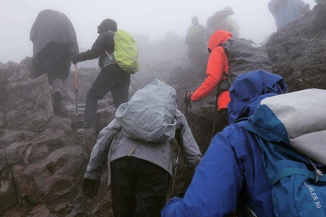 7 days Lemosho route Climbing Mt.Kilimanjaro - The Itinerary Walkthrough: What Makes Each Day Special